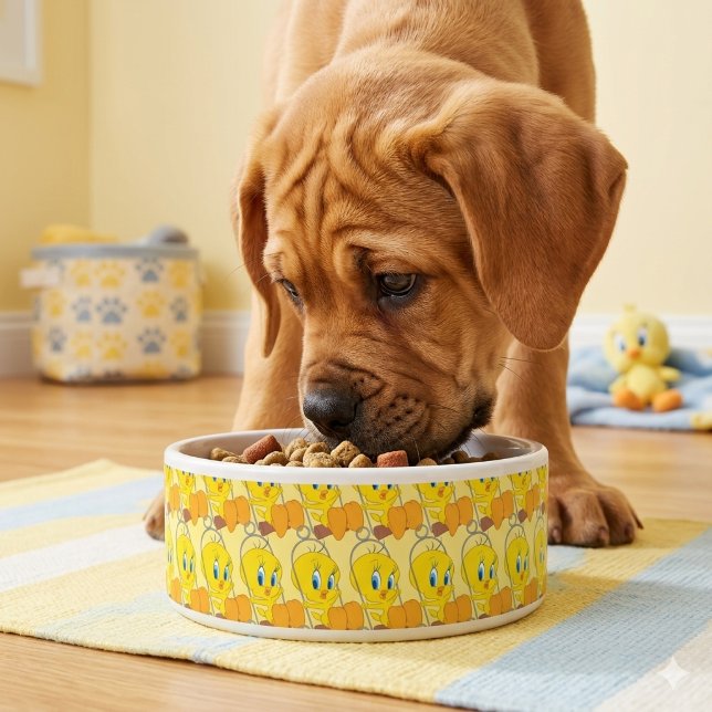 Tweety Bowl ボウル (クリエイターアップロード済み)