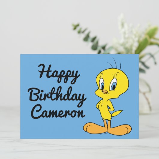 TWEETY™ | Clever Bird (スタンド正面)