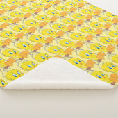 Tweety Sherpa Blanket シェルパブランケット (3/4)