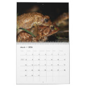 Twelve Months of Toads: 2022 Calendar カレンダー (3月 2026)