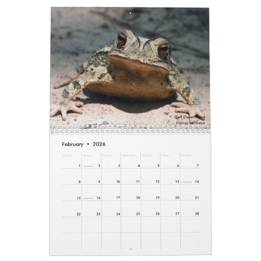 Twelve Months of Toads: 2022 Calendar カレンダー (2月 2026)