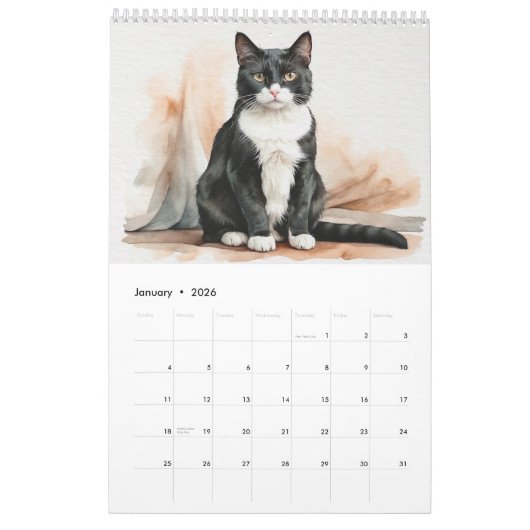 Twelve Watercolor Cats Calendar カレンダー (1月 2026)