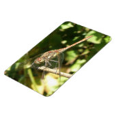 Twig Flexiマグネット上のトンボ マグネット (左側)