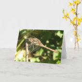 Twig Greeting Cardでのトンボ カード (黄色い花)
