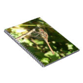 Twig Notebook上のトンボ ノートブック (右側)