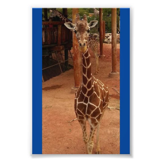 Twiggy 4X6プリント#2 フォトプリント (正面)