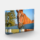 Twilight Rose | Thoroughbred Race Horse フォトブロック (左)