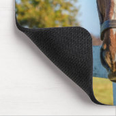 Twilight Rose | Thoroughbred Race Horse マウスパッド (コーナー)