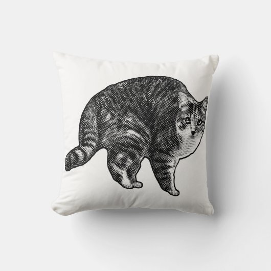 Twilight Tabby Watch クッション (正面)