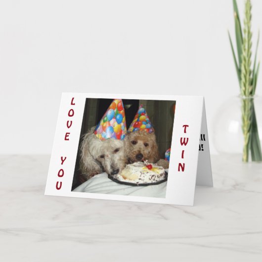 **TWINのS**誕生日を覚えておいてください！ カード (正面)