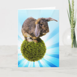 Twinkを特色にするBunnyLuvの挨拶状 カード