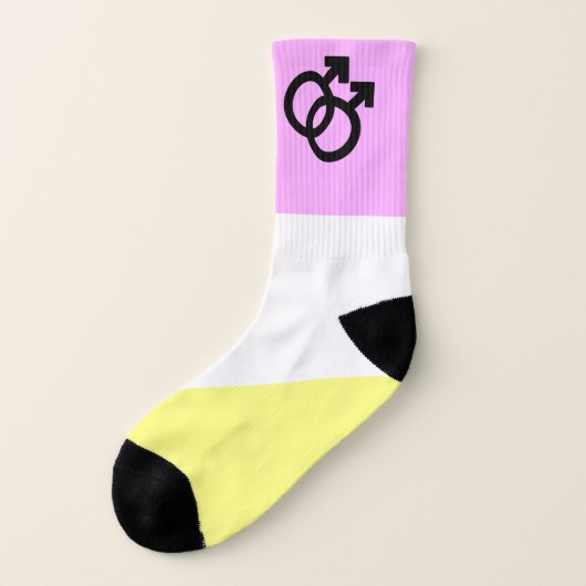 Twink Pride Flag  ソックス (左外側)