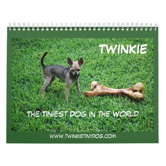 TWINKIEのカレンダー カレンダー (カバー)
