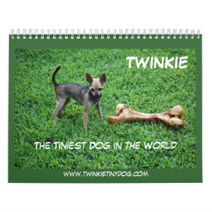 TWINKIEのカレンダー カレンダー
