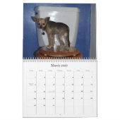 TWINKIEのカレンダー カレンダー (3月 2026)