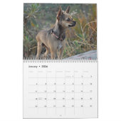 Twinkie 2011の学者のカレンダー カレンダー (1月 2026)