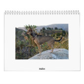 Twinkie 2011の学者のカレンダー カレンダー (裏面)