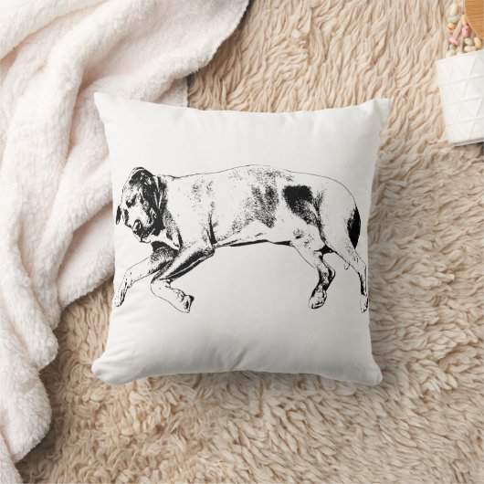 Twinkle-Light Slumber クッション (ブランケット)