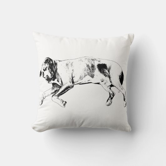 Twinkle-Light Slumber クッション (正面)