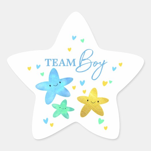 Twinkle Little Star Gender Reveal Team Boy 星シール (正面)