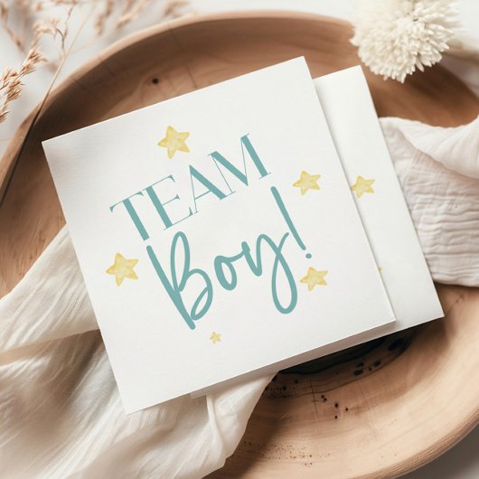 Twinkle Little Star Team Boy Blue Genderリビール スタンダードカクテルナプキン