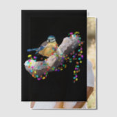 Twinkle Twinkle Little Tit ベラム紙招待状 (オフセット (カップル))