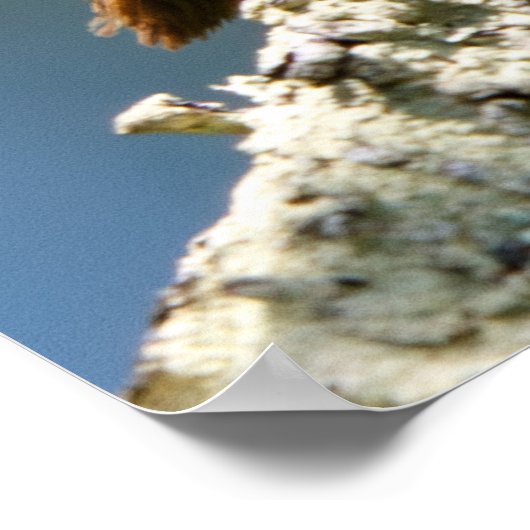 Twisted ポスター (角)