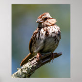 Twisted ポスター (正面)