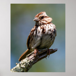 Twisted ポスター