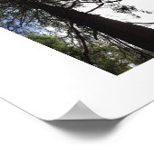 Twisted Branches Yosemite Reflection Photography ポスター (角)