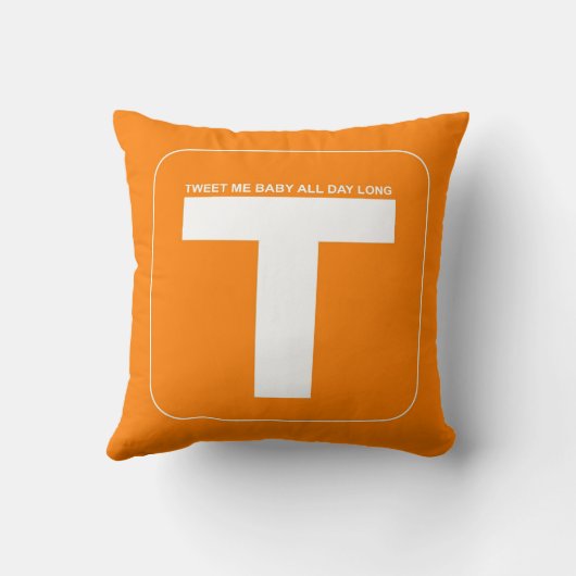 Twitterの会合媒体 クッション (裏面)