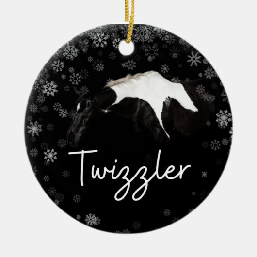 Twizlerオーナメント セラミックオーナメント (正面)