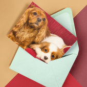 Two 最高の Friends CKCS Ruby And Blenheim Card カード