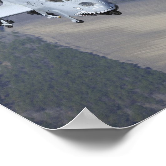 Two A-10C Thunderbolt II aircraft fly in format ポスター (角)