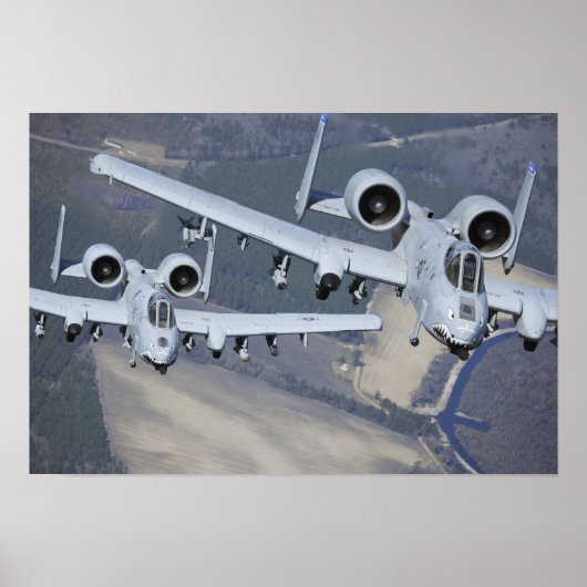 Two A-10C Thunderbolt II aircraft fly in format ポスター (正面)
