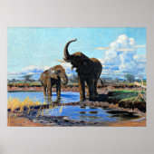 Two African Elephants at Watering Hole ポスター (正面)