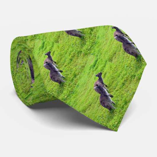 Two Australian Kangaroos On Green Grass, ネクタイ (ロール)