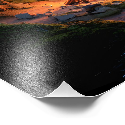 Two bears in the forest dark 5 フォトプリント            (角)