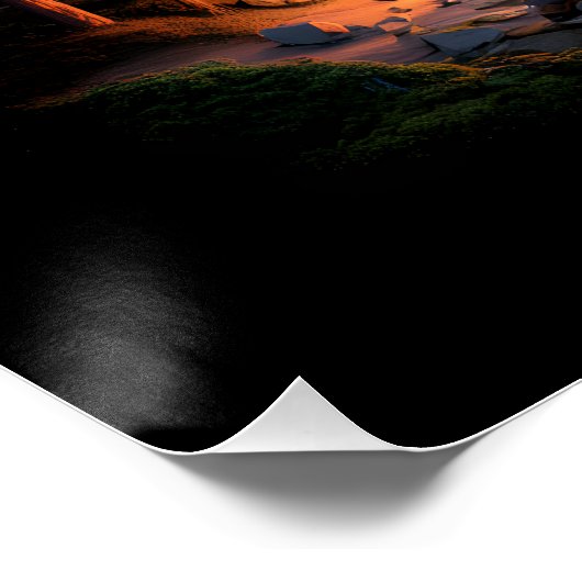 Two bears in the forest dark 5 ポスター (コーナー)