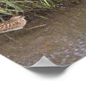 Two Birds Photo Poster ポスター (角)