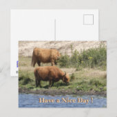 Two Brown Cows カスタム。よい一日を ポストカード (正面/裏面)
