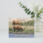 Two Brown Cows Cust. Have a Nice Day Postcard シーズンポストカード (スタンド正面)