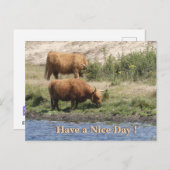 Two Brown Cows Cust. Have a Nice Day Postcard シーズンポストカード (正面/裏面)