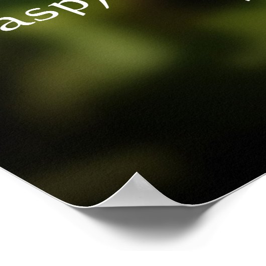 Two Butterflies Quote Poster ポスター (角)