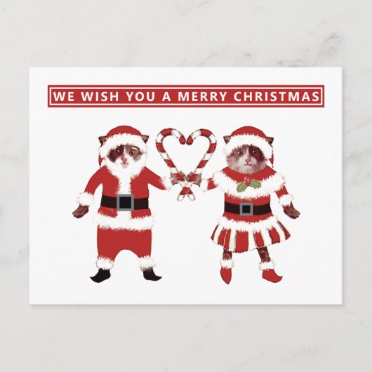 Two Cats Christmas Holidayはがき ポストカード (正面)