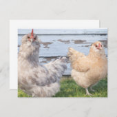Two Chickens Cute Farm Note Cards ノートカード (正面/裏面)