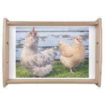Two Chickens Farmhouse Kitchen Tray Decor
