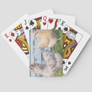 Two Chickens Poker Cards – Cute Farm Animal Play トランプ