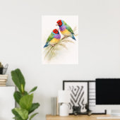 Two Colorful Gouldian Finch Birds ポスター (ホームオフィス)