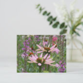 Two Coneflowers & Wildflowers DIY Postcard シーズンポストカード (スタンド正面)